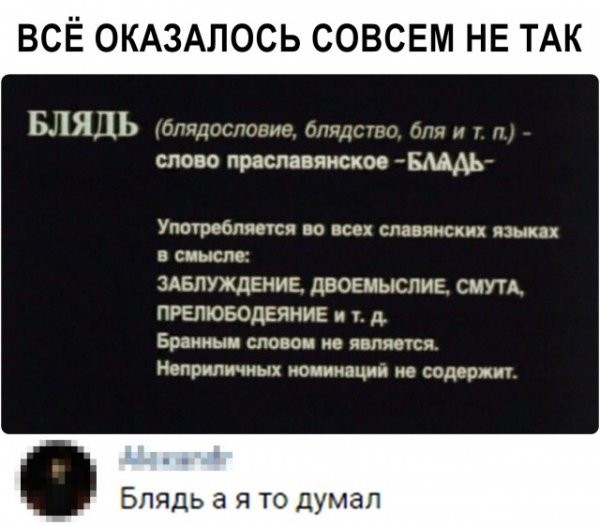 Весёлый полтишок 04.08.23