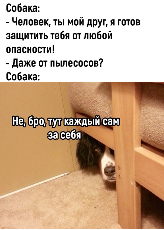 Скупка краденого из сети 09-08-2023