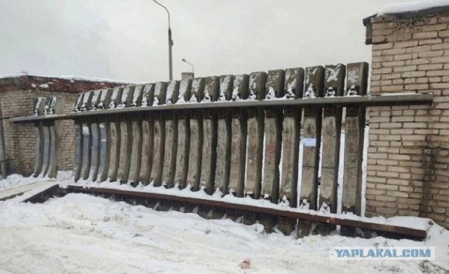 Папа, покажи оленя