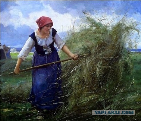 Папа, покажи оленя