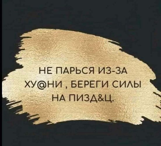 Весёлый полтшок 09.05.24
