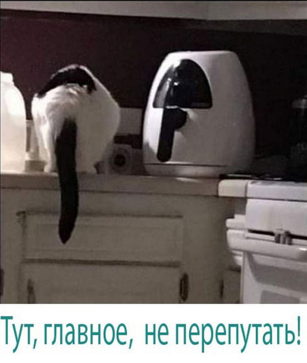Суббото-баяно-лар