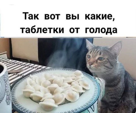 19529167.jpg