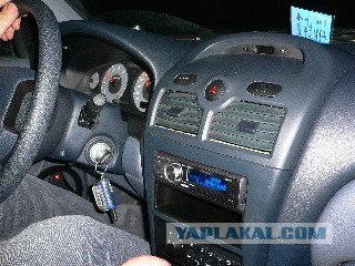 Дикие фото из социальных сетей