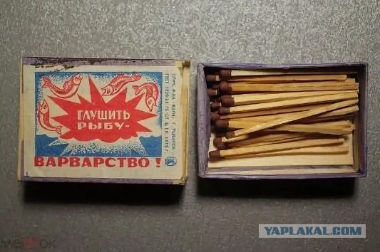 Дикий случай в Рыбинске