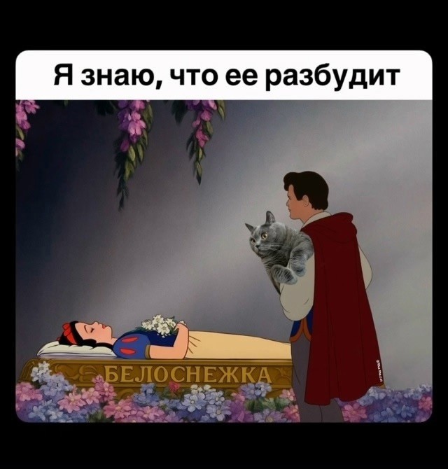 Картинки для бодрости духа