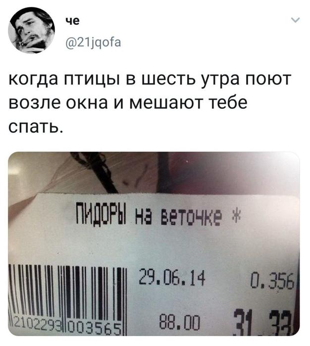Картинки для деградации 107 (разной степени свежести)