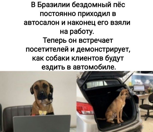 Четверговые картинки