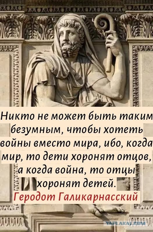 Картинки