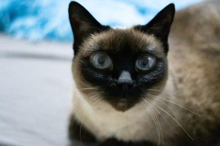 Подарок судьбы