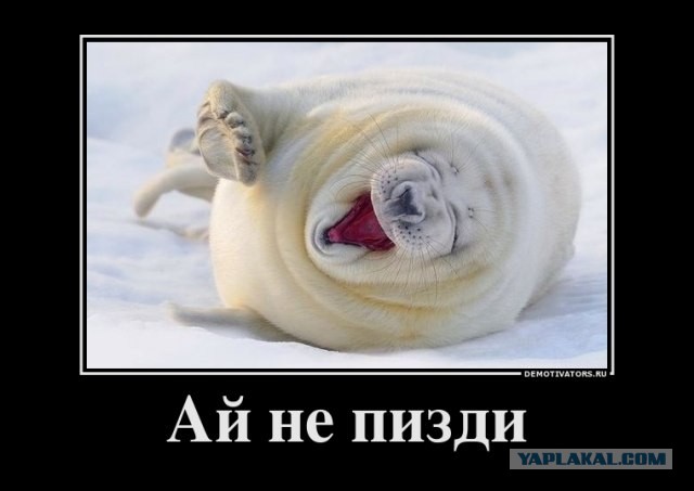 Что нужно, чтобы мужчина мог называться мужчиной?