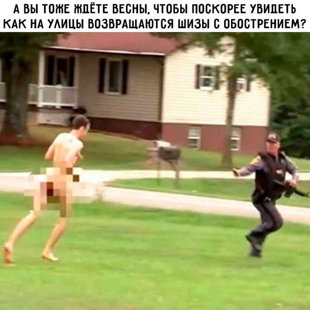 Картинки для деградации 151 (разной степени свежести)