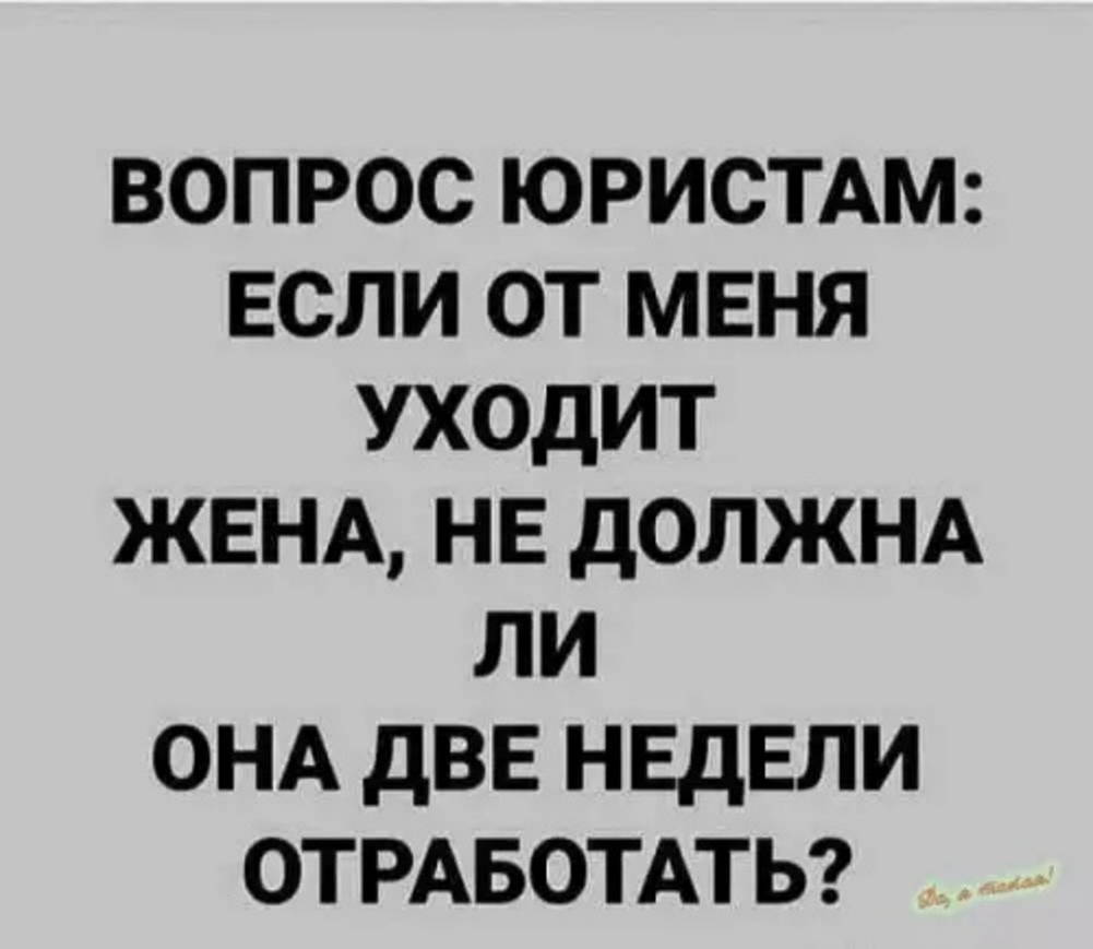 20817167.jpg