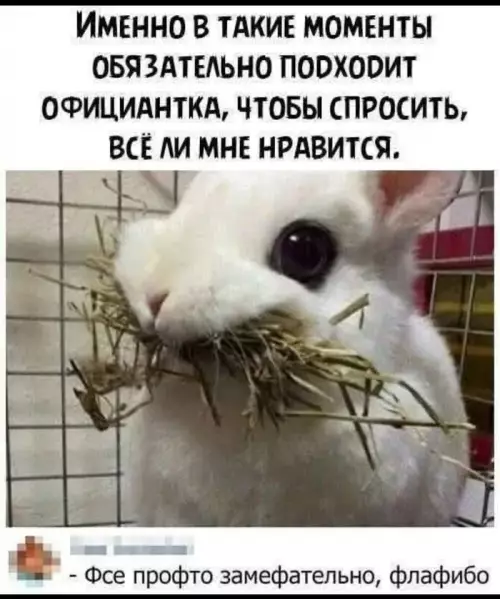 Картиночки, баянчики 04 марта