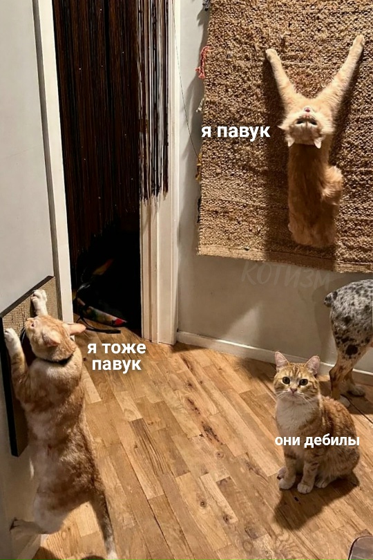 Удаленное выключение света