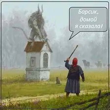 Почему ваша кошка смотрит в пустой угол: мы наконец разобрались, и вам это не понравится