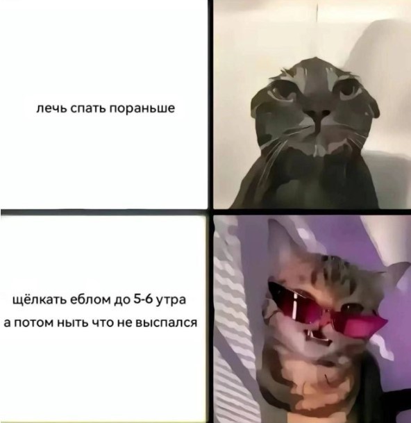 Картиночки, баянчики 25 июля