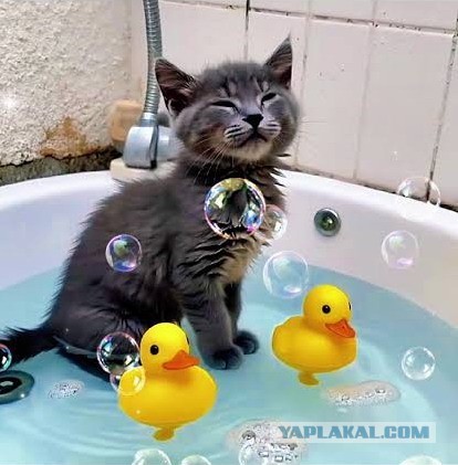Через этот ужас прошли все!