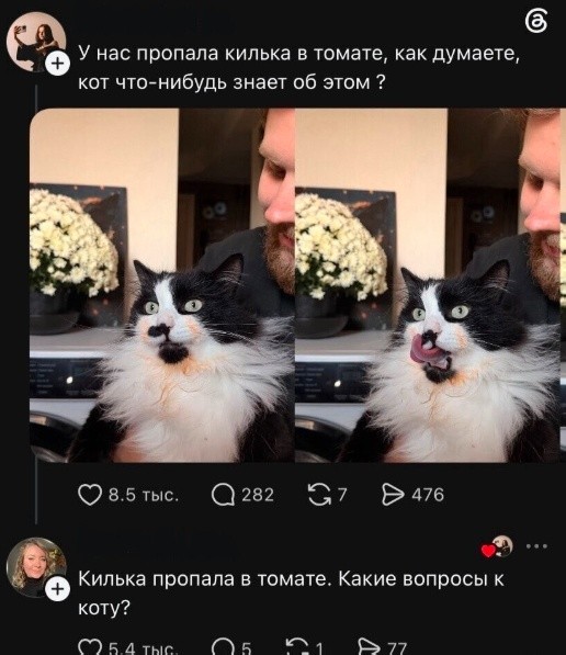 Так себе картинки 14.09.26