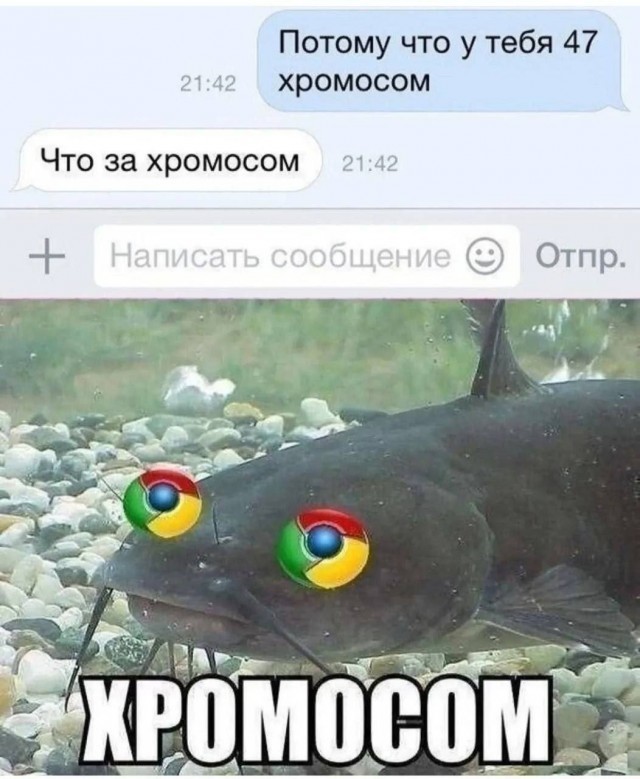 Я вспомнил!