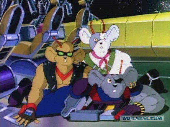 Один взгляд назад