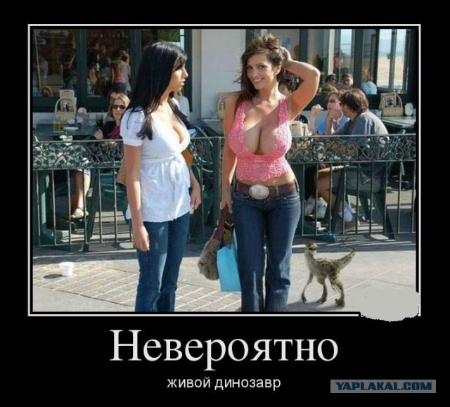 Демотиваторы.