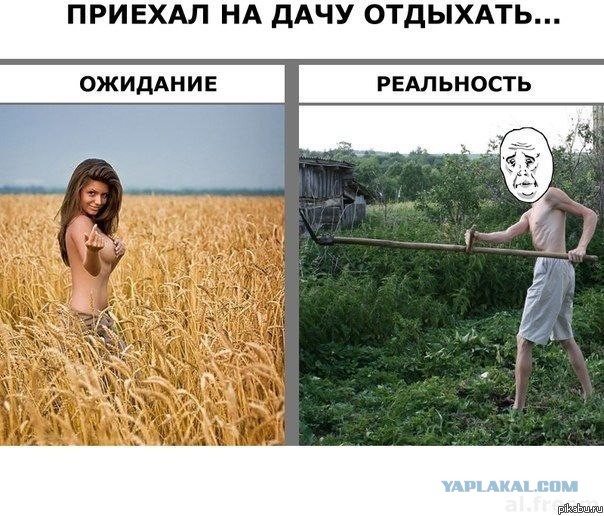Ожидания VS Реальность