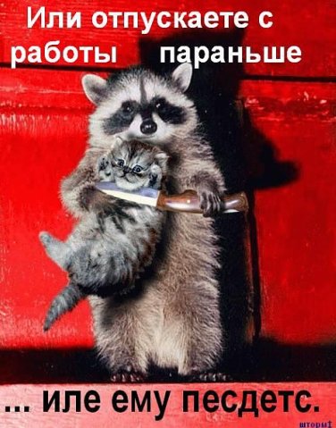 Комментарии из социальных сетей