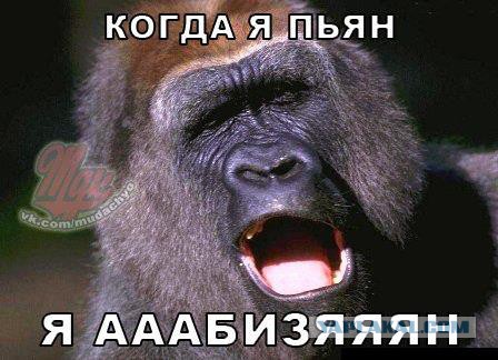 Смешные комментарии из социальных сетей 09.06.14