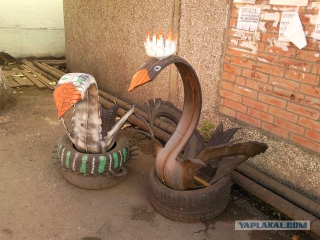 Шинодизайн