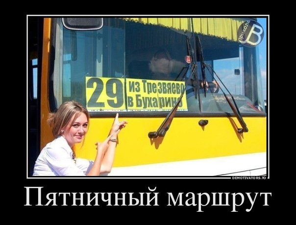 Братишки, я вам картинок принёс!
