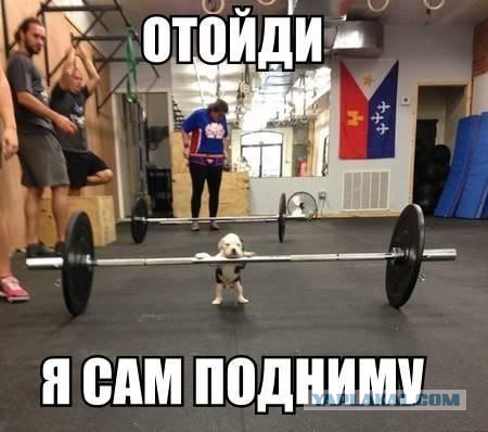 Cмешные баяны