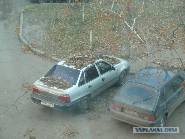 Пару прикольных картинок