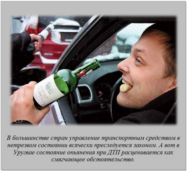 20 фактов обо всем