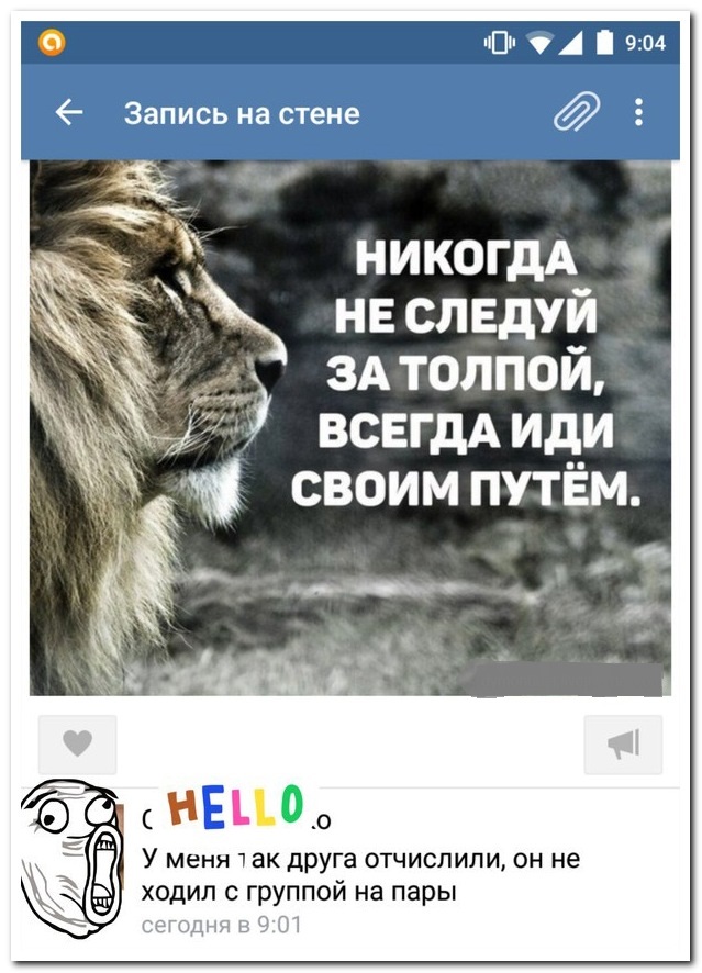 Смешные комментарии из социальных сетей