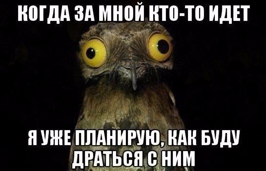 Картинки разные