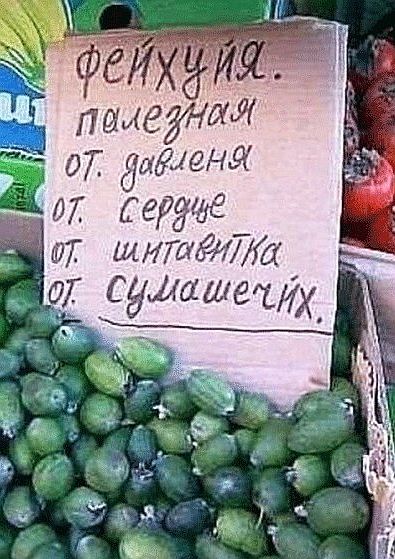 Прикольные объявления и надписи