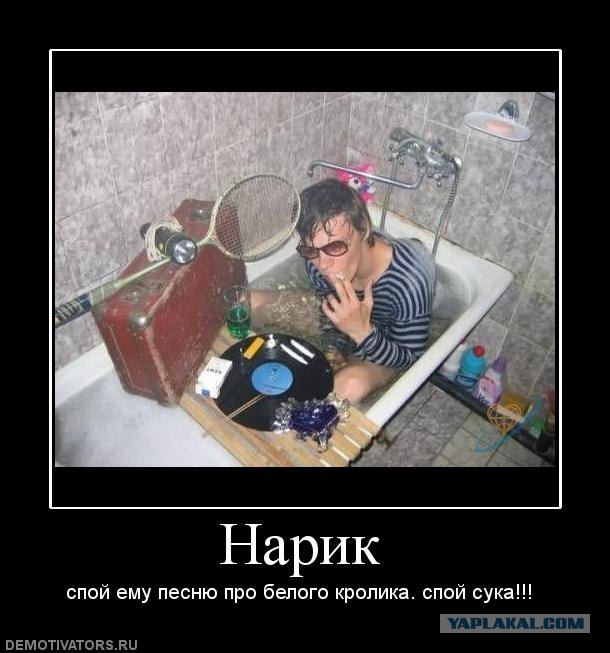 А что вы расматриваете в туалете?