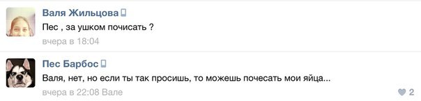 Смешные комментарии из социальных сетей 19.08.15