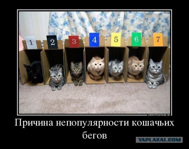 Картинки и демотиваторы