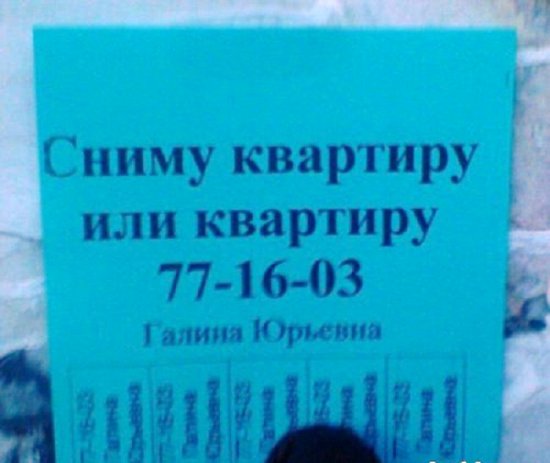 Картинки из сети