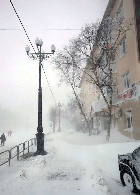 Выжить в дичайших условиях