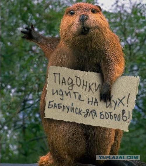 Кухня на веранде (часть 2)