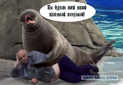 Может пожабим маленько?