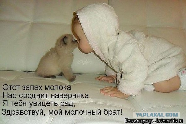 Картинки