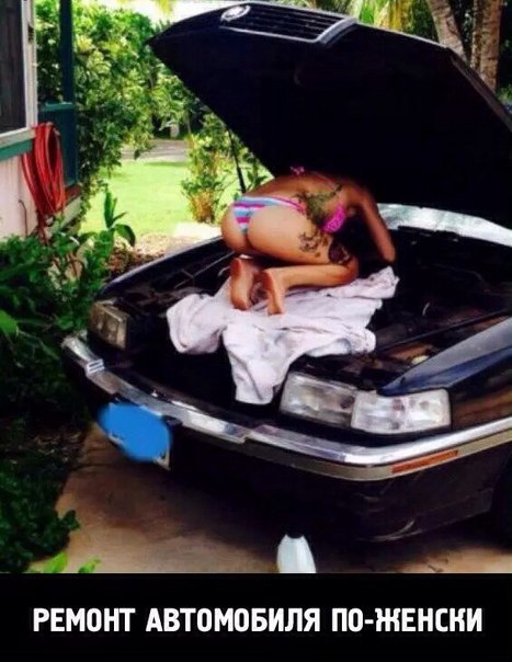 Очередные картинки на субботу