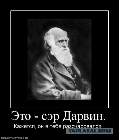 Самый тупой способ сломать руку