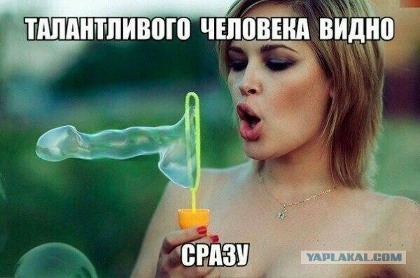 Весёлые картинки