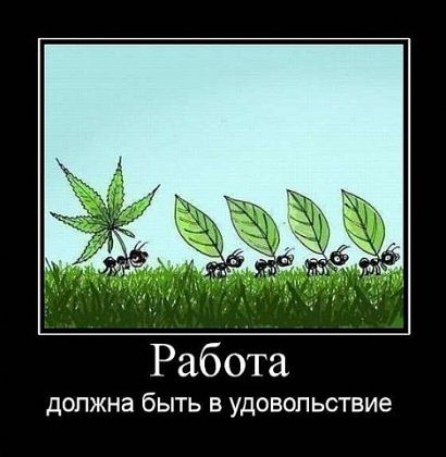 Злые шутки или минутка сарказма на ЯП-е, 16+