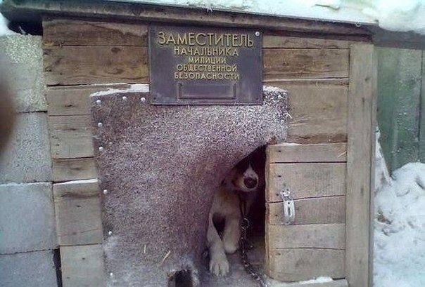 Моменты, запечатлённые на фото и просто позитив